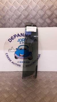 Custode arriere gauche (porte)