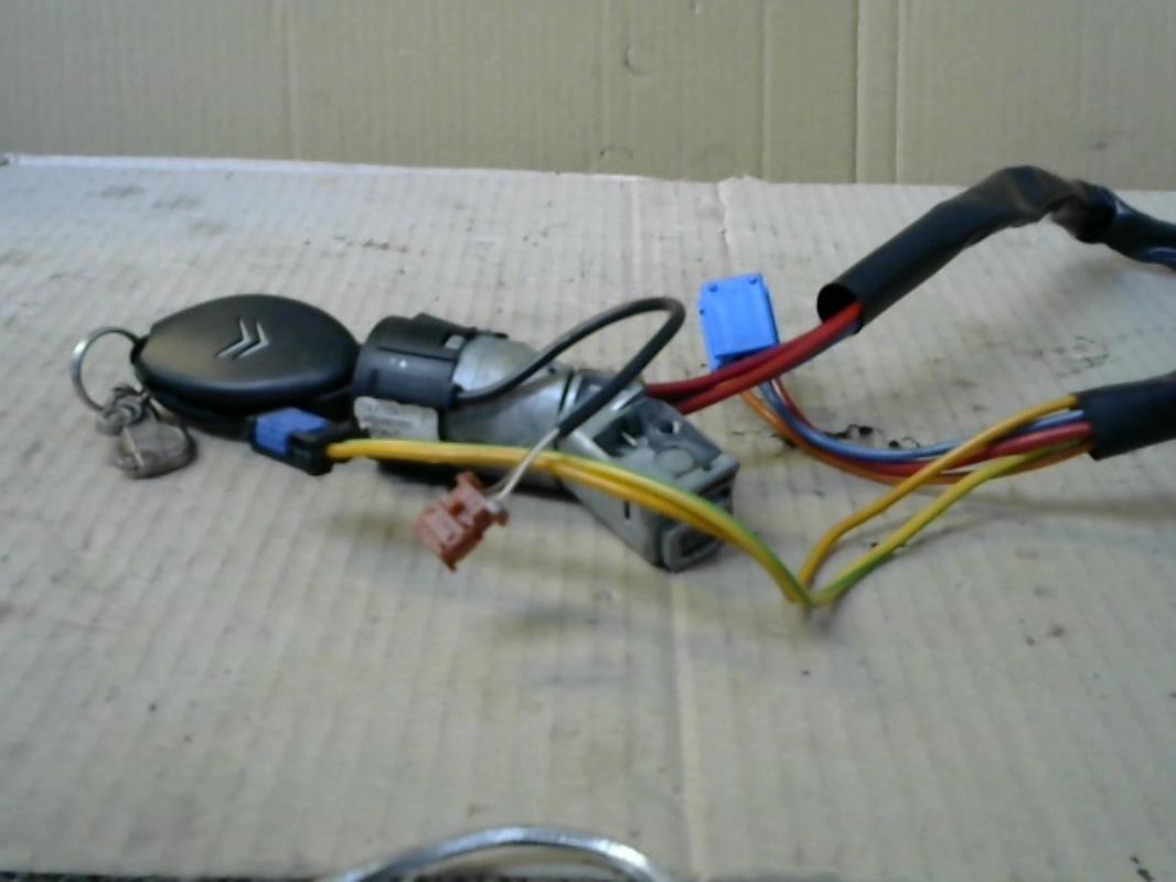 Immobilizzatore