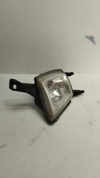 Fendinebbia sinistro (luce)