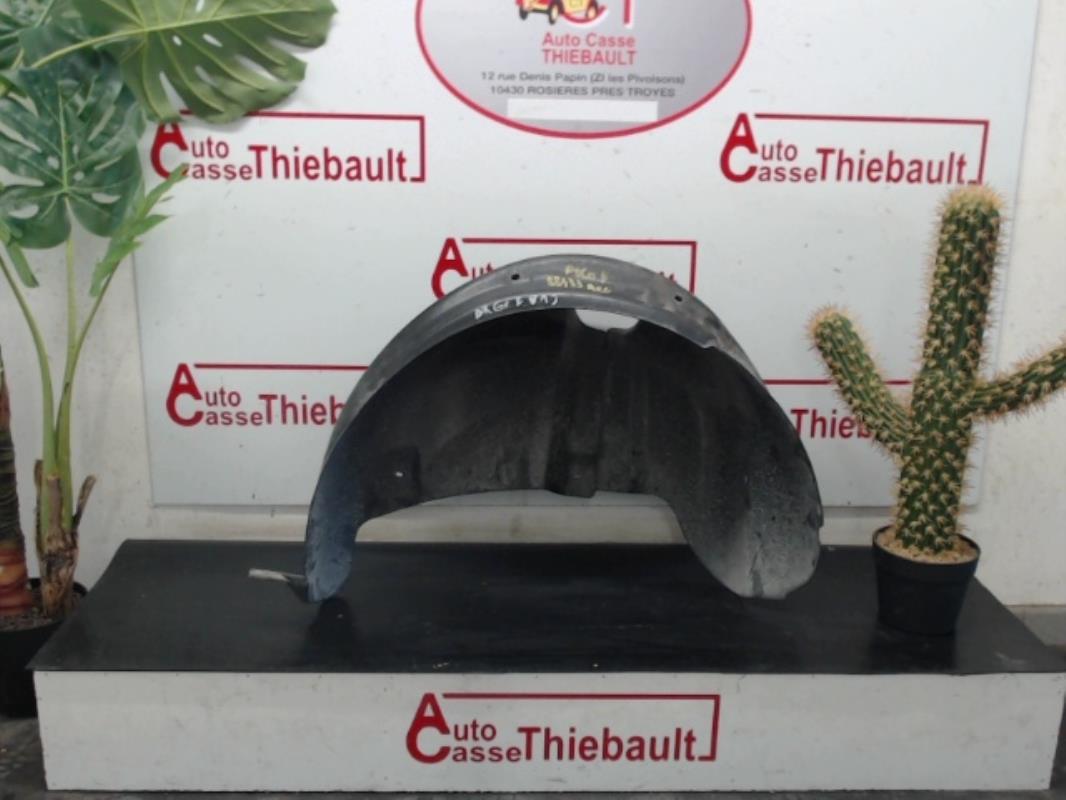 Parasale posteriore sinistro