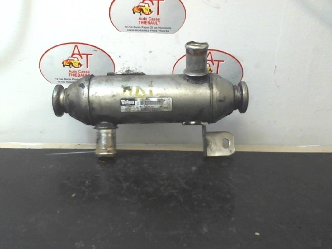 Radiatore EGR