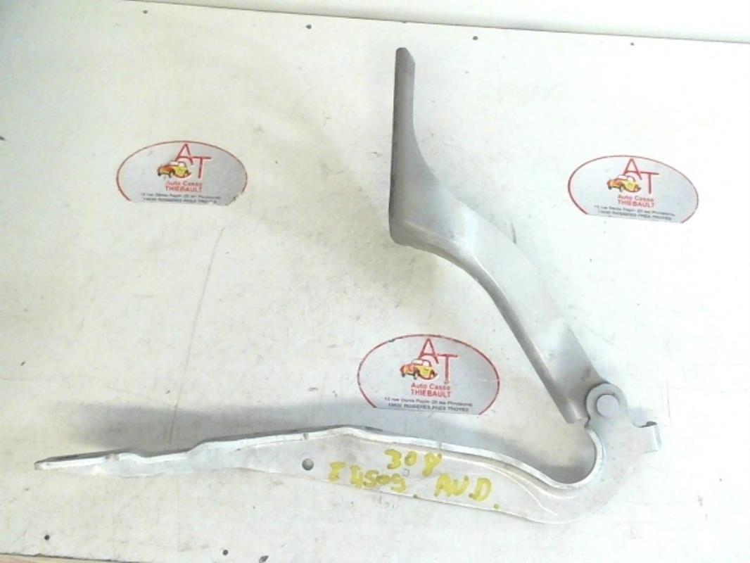 Cerniera cofano