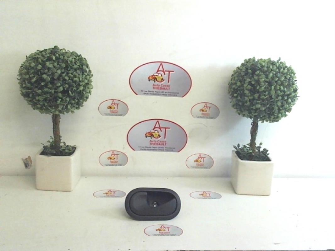 Maniglia interna anteriore sinistra