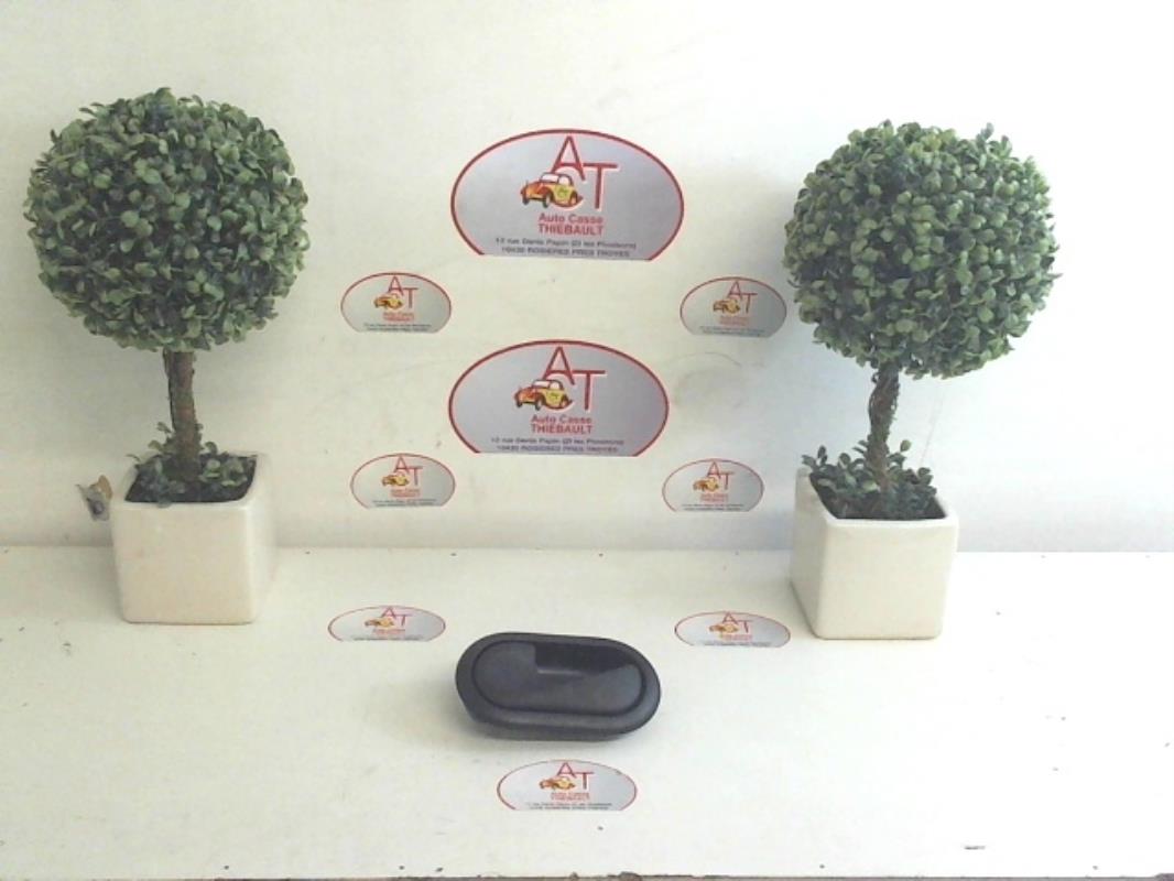 Poignee interieur avant gauche