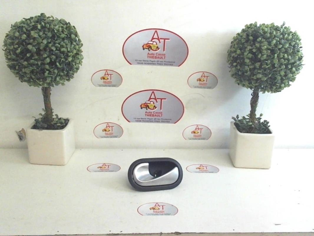Poignee interieur avant gauche