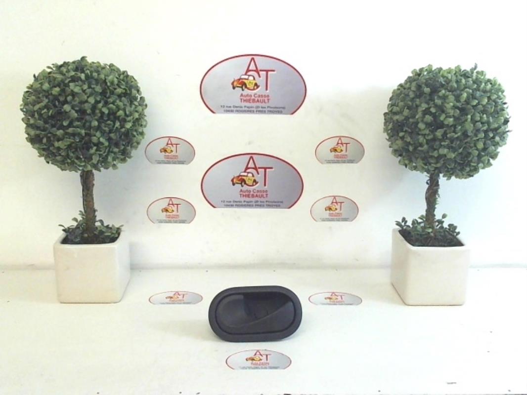 Poignee interieur avant gauche