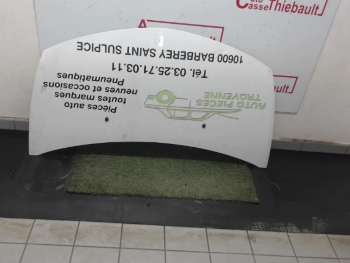Capó