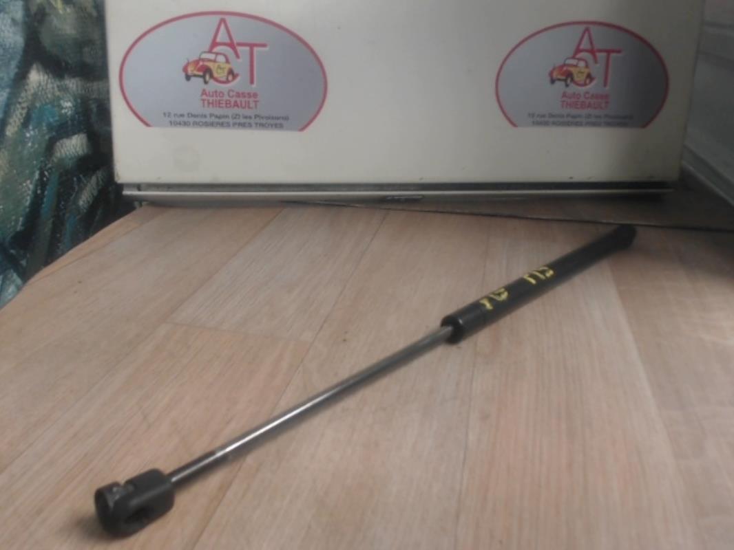 Verin de coffre