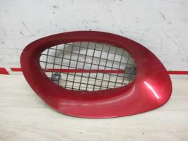 Grille de pare choc