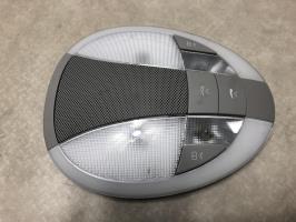 Luce di cortesia