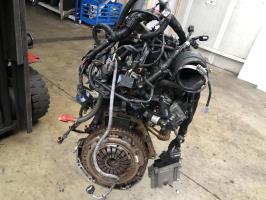 Motore