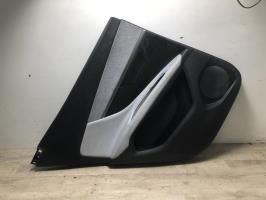 Panel de puerta trasera izquierda