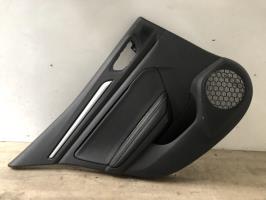 Panel de puerta trasera izquierda