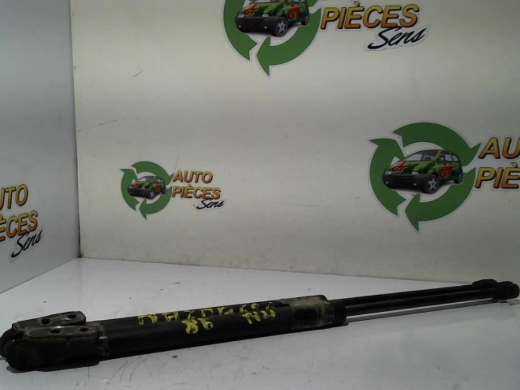 Verin de coffre