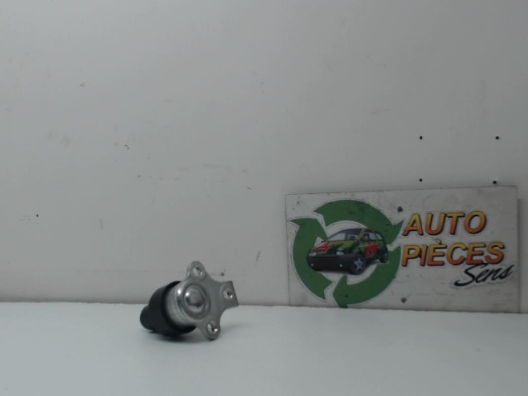 Rotule