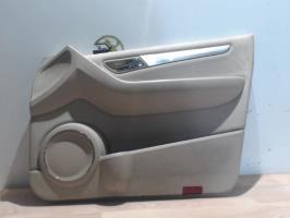 Panneau de porte avant droit