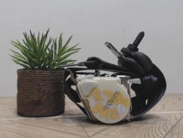 Ceinture centrale