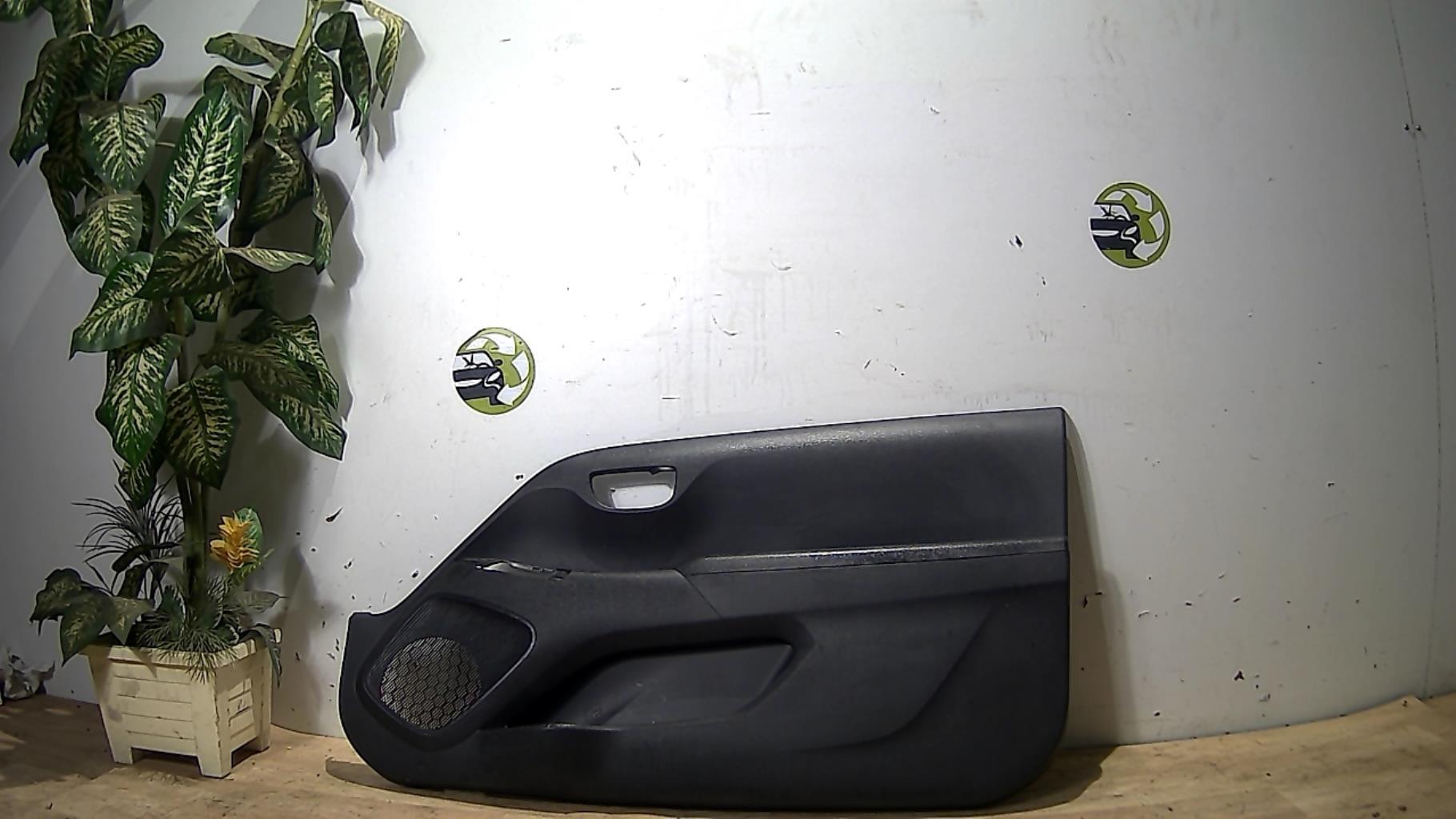 Panneau de porte avant droit