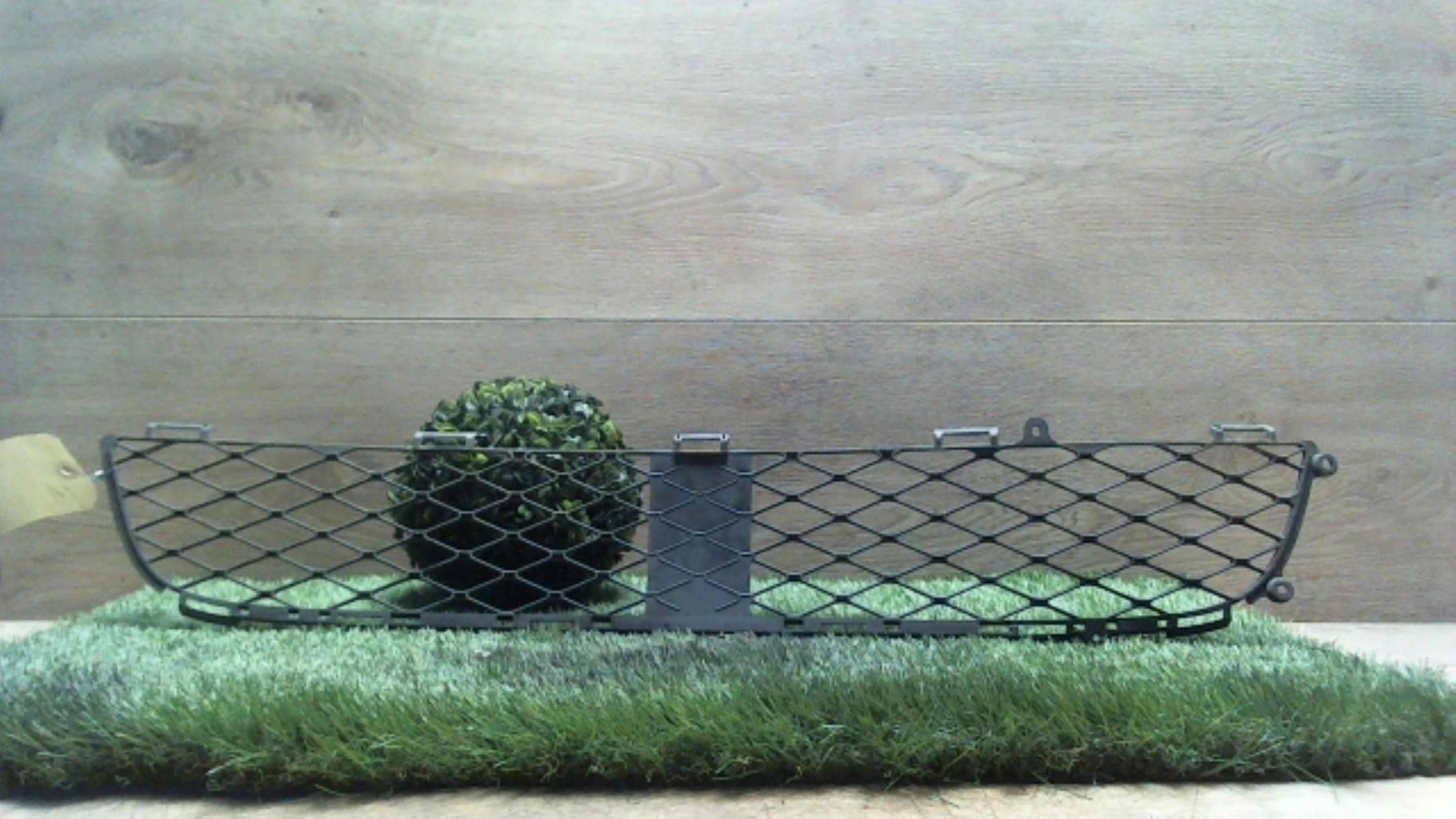 Grille de pare choc