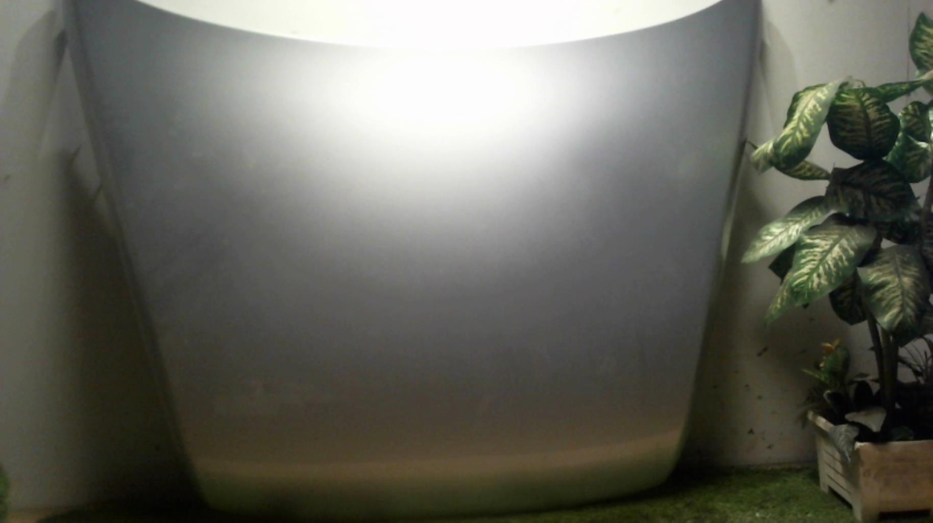 Capot