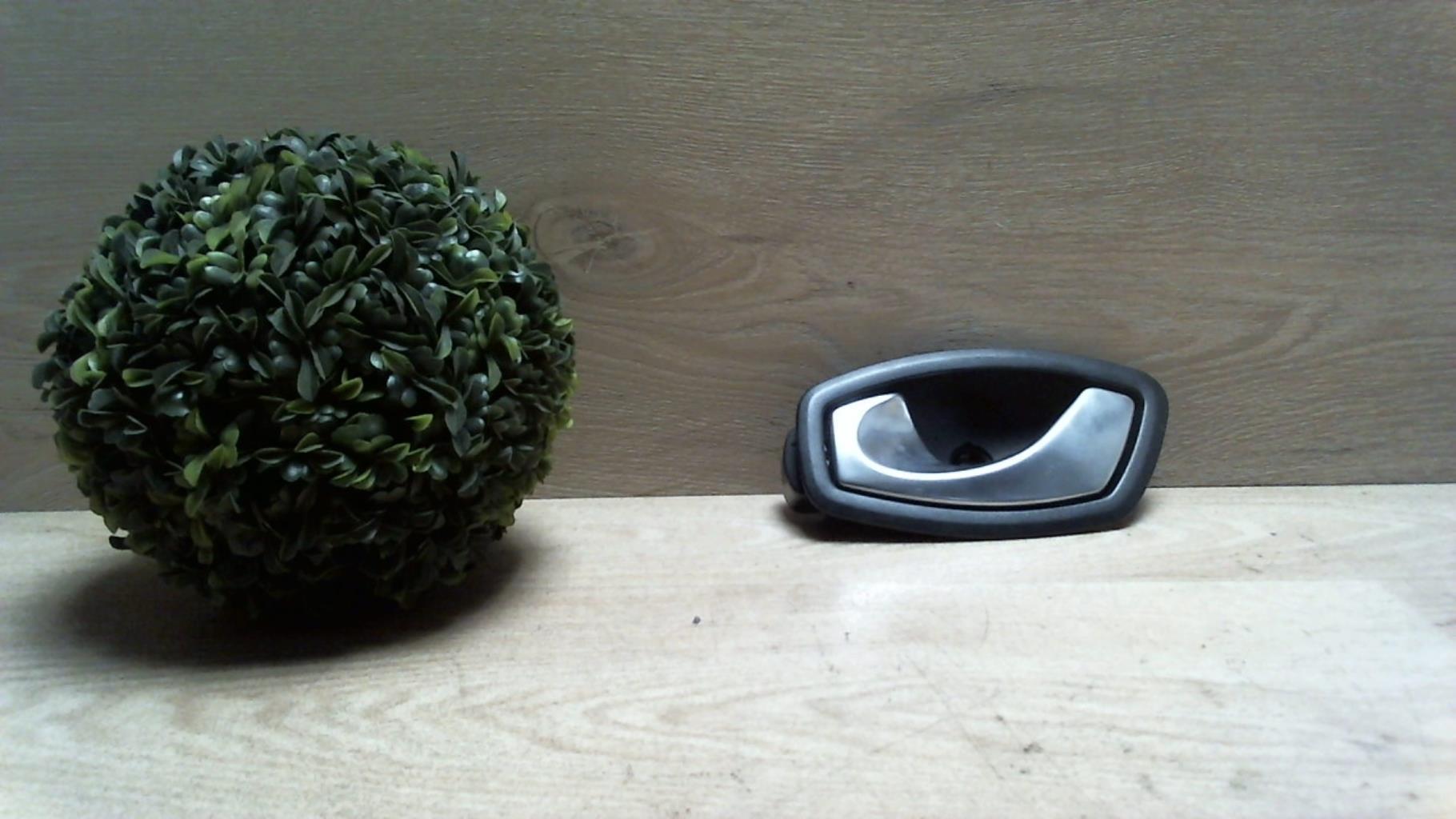 Poignee interieur arriere gauche