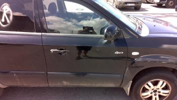 Porte avant droit