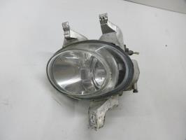 Fendinebbia sinistro (luce)