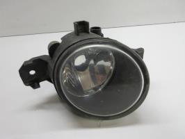 Fendinebbia sinistro (luce)