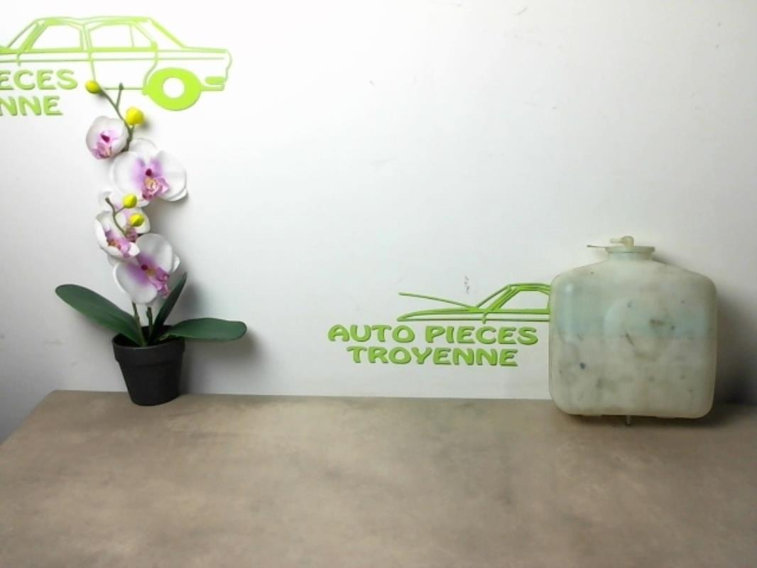Vase de lave glace