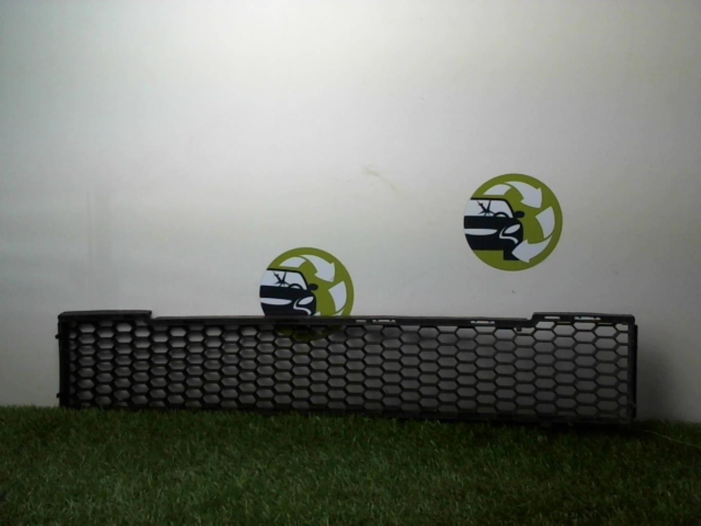 Grille de pare choc
