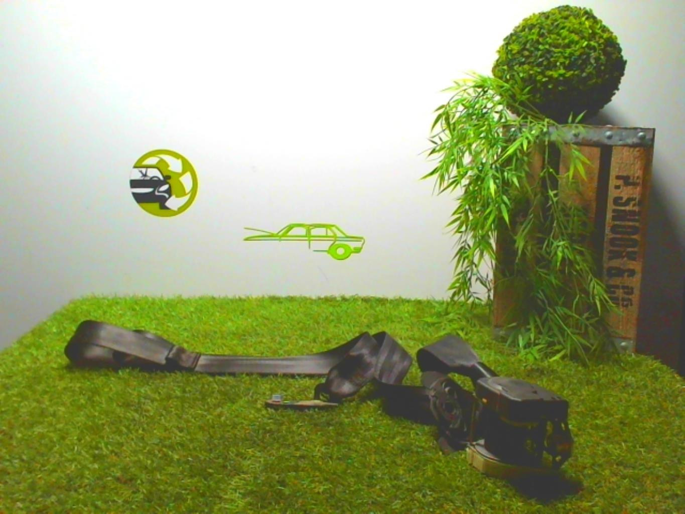 Cintura di sicurezza posteriore sinistra