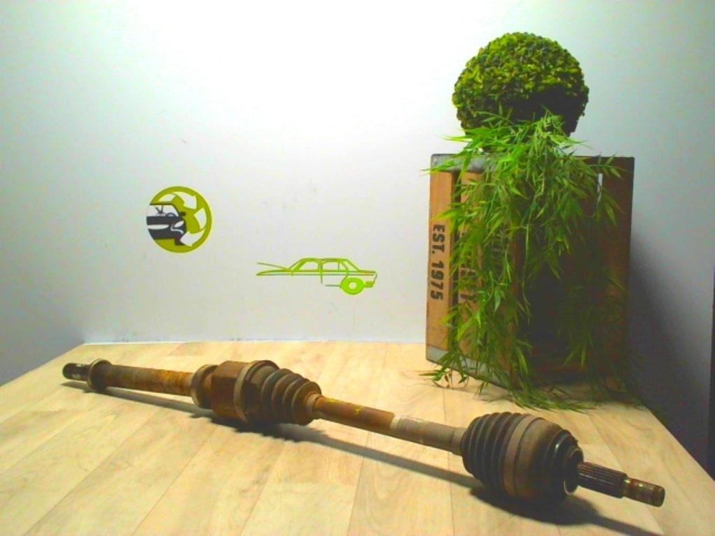 Cardán derecho (transmisión)