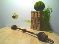 Cardan droit (transmission)