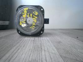 Fendinebbia sinistro (luce)
