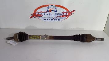 Giunto cardanico albero di trasmissione destro