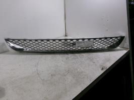 Grille de pare choc