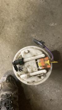 Pompe immergee