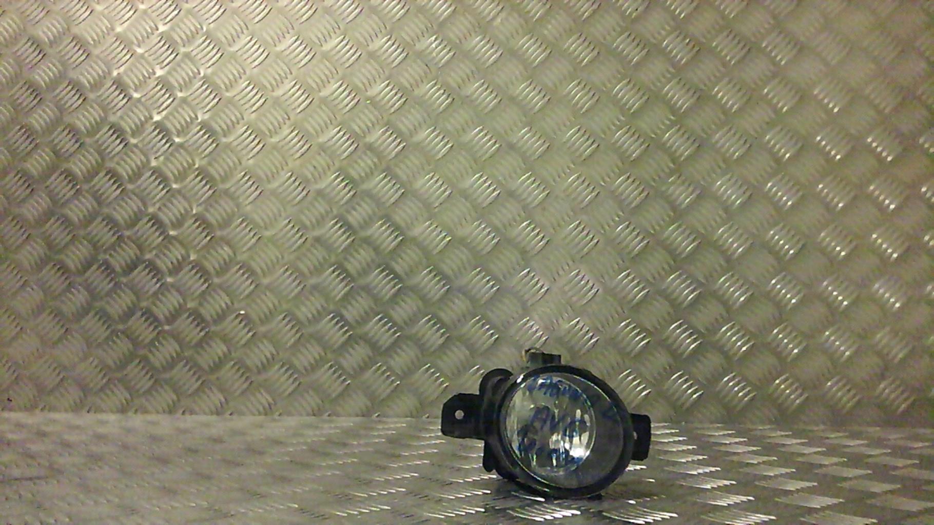 Fendinebbia sinistro (luce)