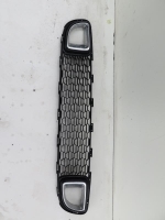 Grille de pare choc