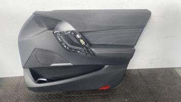 Panneau de porte avant droit