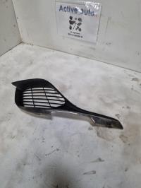 Grille de pare choc