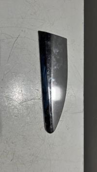 Baguette de porte arriere gauche 