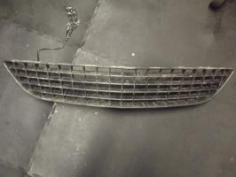 Grille de pare choc