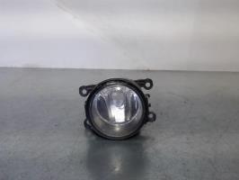 Fendinebbia sinistro (luce)