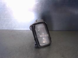Fendinebbia sinistro (luce)