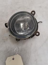 Fendinebbia sinistro (luce)