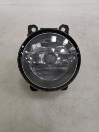 Fendinebbia sinistro (luce)