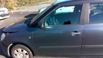 Porte avant gauche
