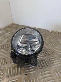 Fendinebbia sinistro (luce)