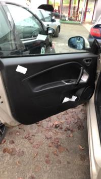 Panneau de porte avant gauche